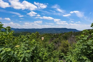 Comfort Cabin, 4 Bedrooms, Balcony, Mountain View | Balcony view