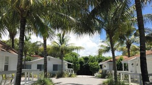 A pathway leading to a row of white mobile homes with palm trees on either side.