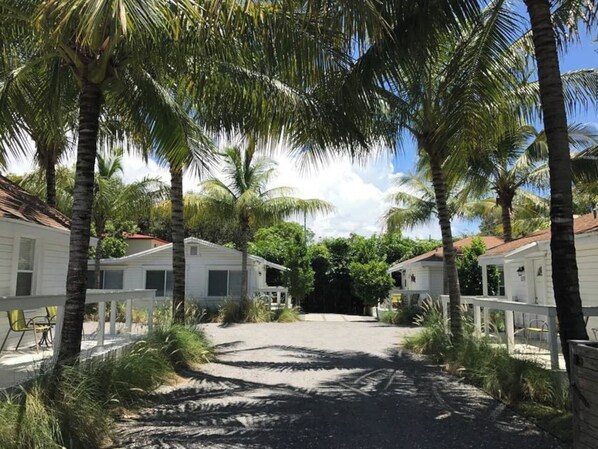 Property grounds - Renovated & Charming Grove Bay 1/1 Cottage (Miami)