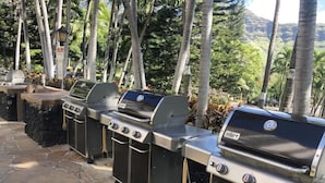 Eine Reihe von Weber-Gasgrills mit einer Steinterrasse und tropischer Landschaft im Hintergrund.