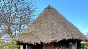 Une hutte à toit de chaume, dotée d’une porte en bois et d’un banc à l’extérieur, entourée d’escaliers en pierre et de végétation.