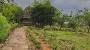 Un chemin de pierres mène à une construction traditionnelle à toit de chaume, entourée d’une végétation luxuriante et de petites plantes.