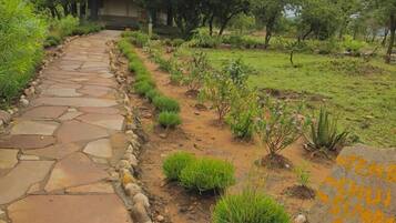 Executive-Zweibettzimmer | Individuell eingerichtet, Schreibtisch, laptopgeeigneter Arbeitsplatz