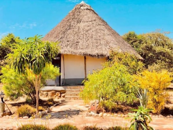 Una cabaña con techo de paja y un sendero de piedra que la lleva a ella, rodeada de plantas y árboles.