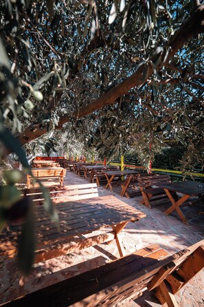 An outdoor seating area with wooden tables and benches under a canopy of trees. - Lider Hotel (Ksamil)