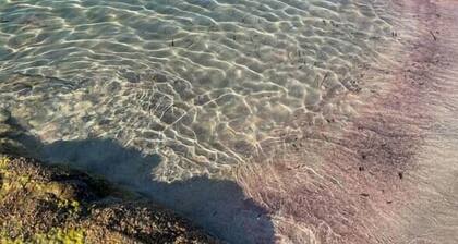 Le Repaire des Pirates