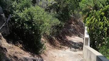 Una escalera de hormigón que asciende por un bosque.