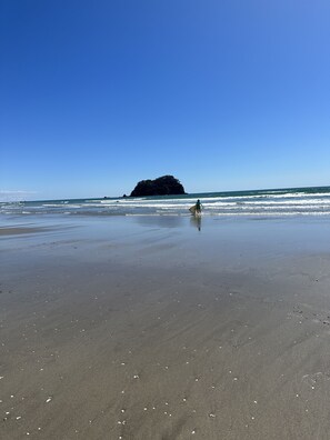 On the beach