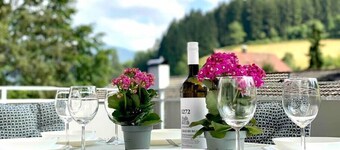 *Schwarzwald-Haus mit Sauna*