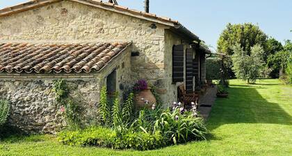 Milva's Nest Countryside