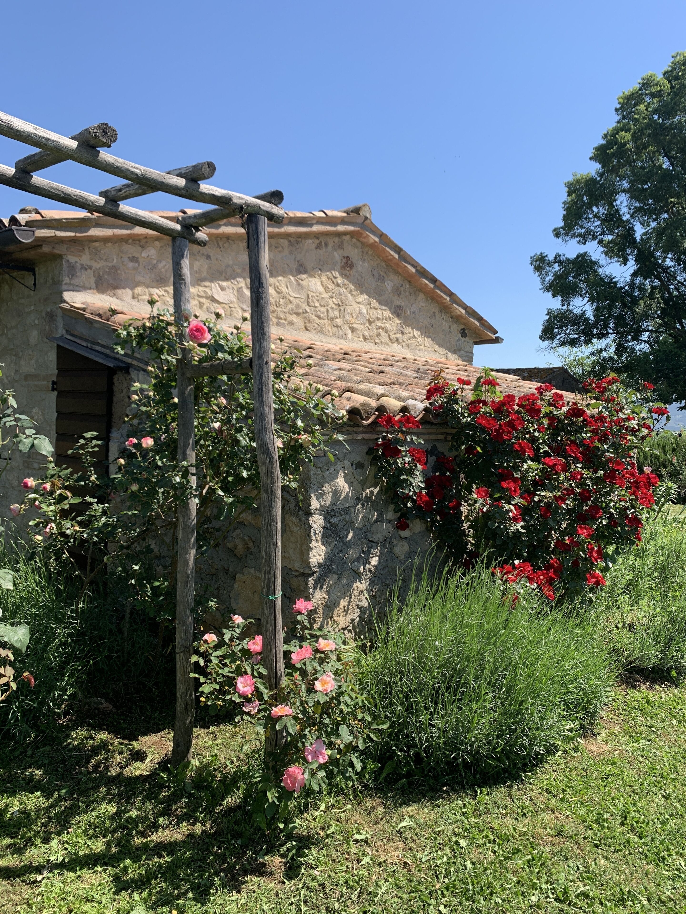 A rustic stone house with a wooden pergola and blooming roses.