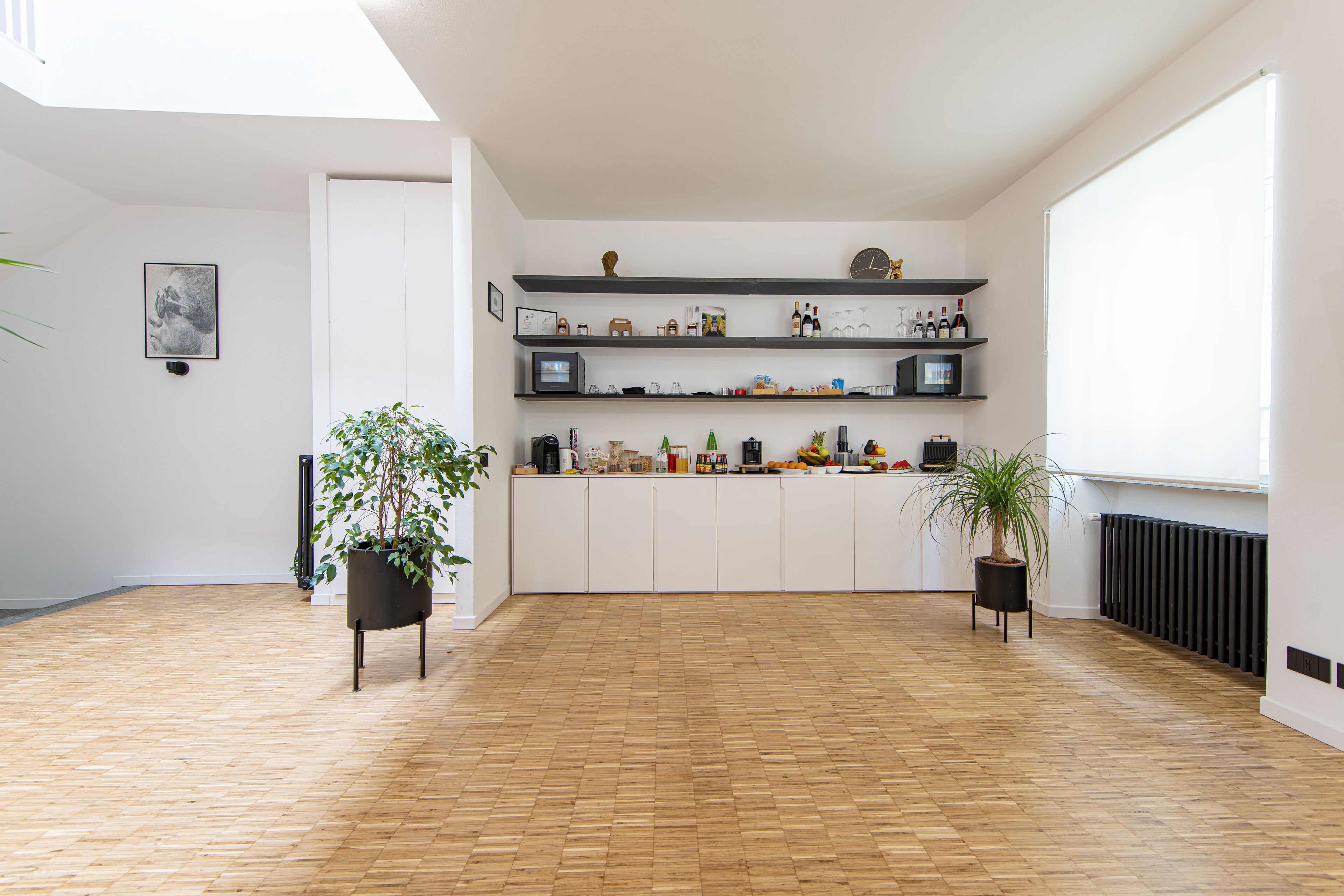 Una habitación amplia con suelo de madera, paredes blancas y un televisor con marco negro sobre una estantería. Hay dos plantas en macetas y un radiador en la pared.