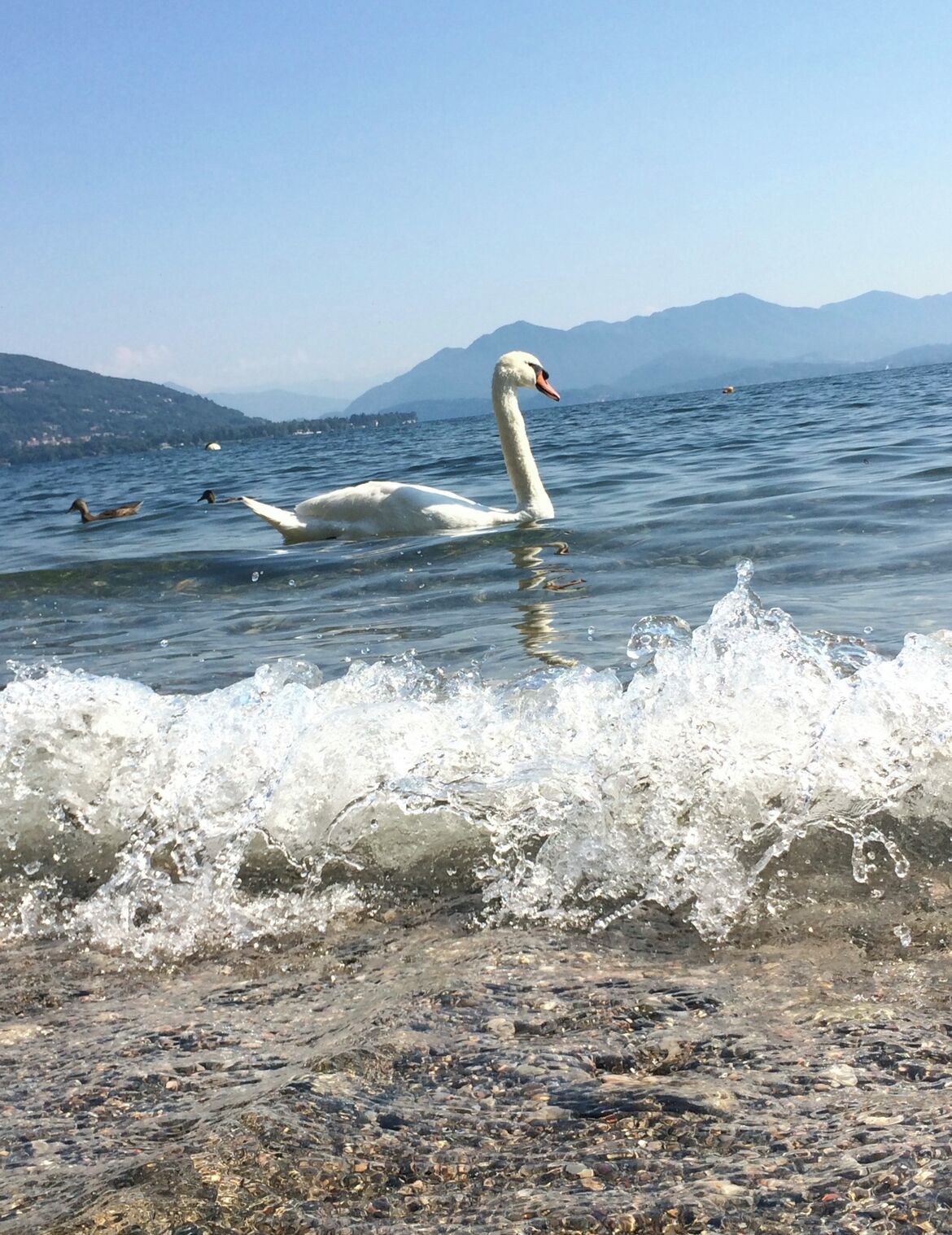 湖