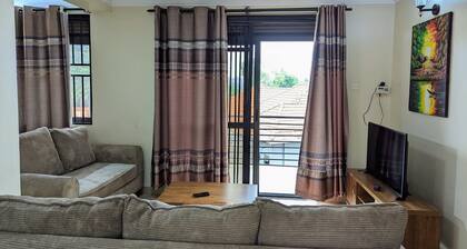 Beautiful apartment,24hr security, unlimited WiFi, airport pick/drop at half px