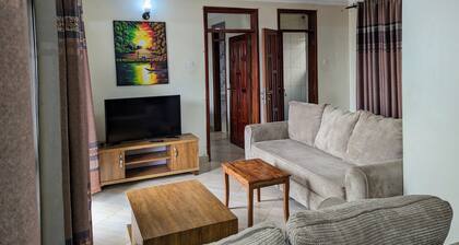 Beautiful apartment,24hr security, unlimited WiFi, airport pick/drop at half px