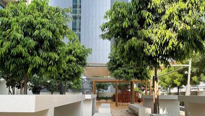 A modern outdoor area with concrete planters, a wooden pergola, and a playground structure.