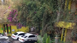 Uma carrinha camper branca estacionada numa rua estreita, com carros e vegetação.