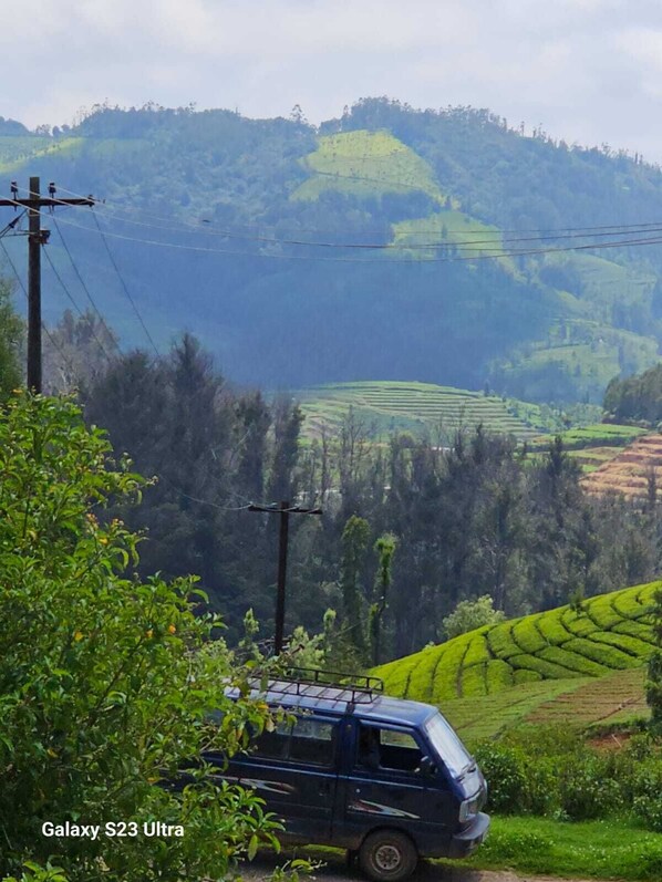 Property grounds - Offbeat Luxury Villa (Ooty)