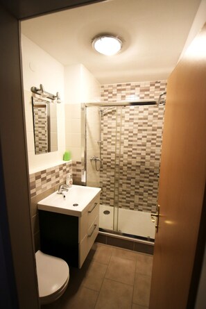 Shower, hair dryer, toilet paper - Panorama Deluxe Studio-Top 12 (Kaprun)