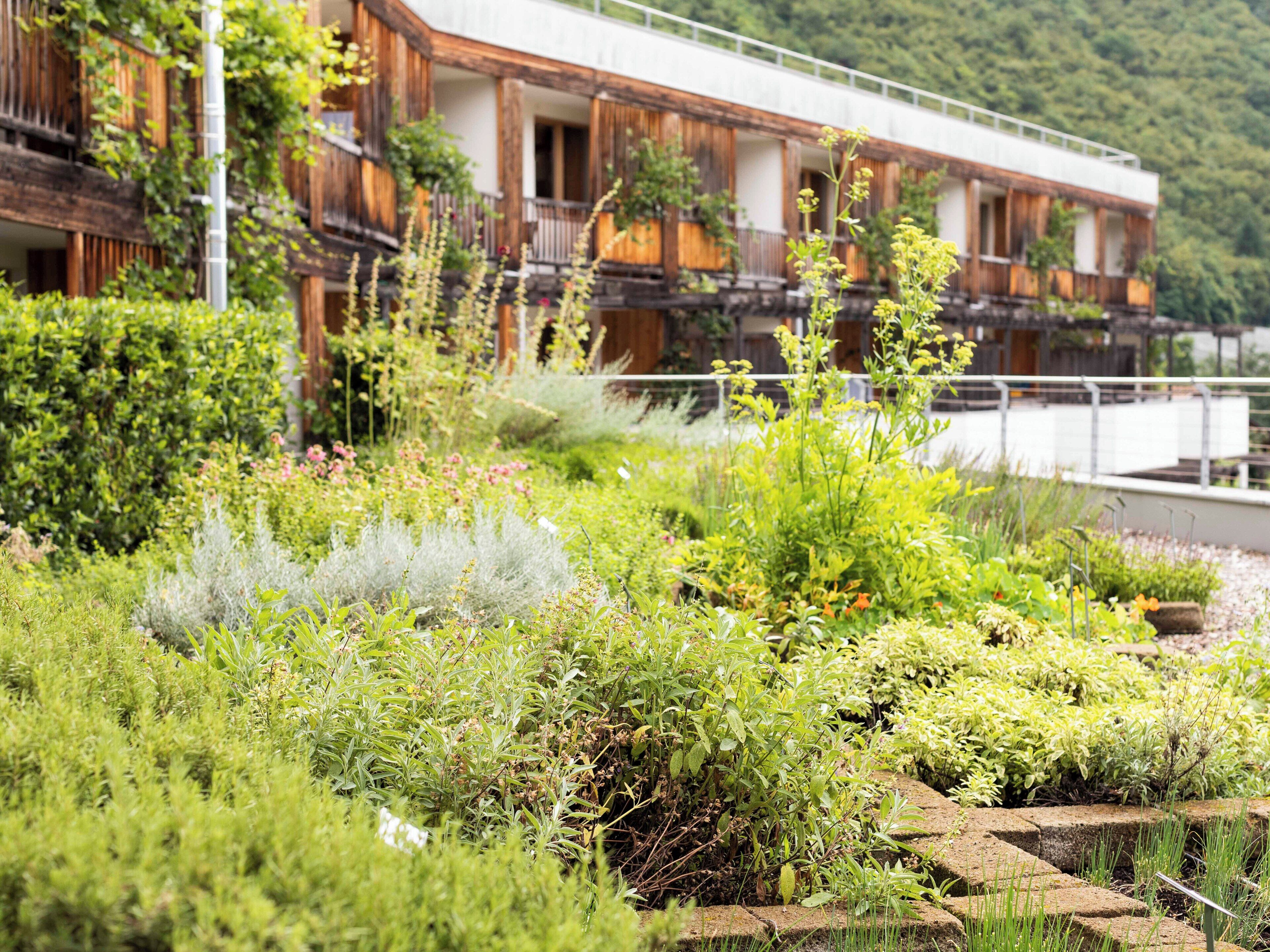 Comfort Room | Garden view