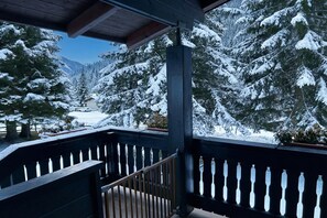 Property grounds - Chalet Soleada With Fireplace and Terrace for 5 (Mesocco)