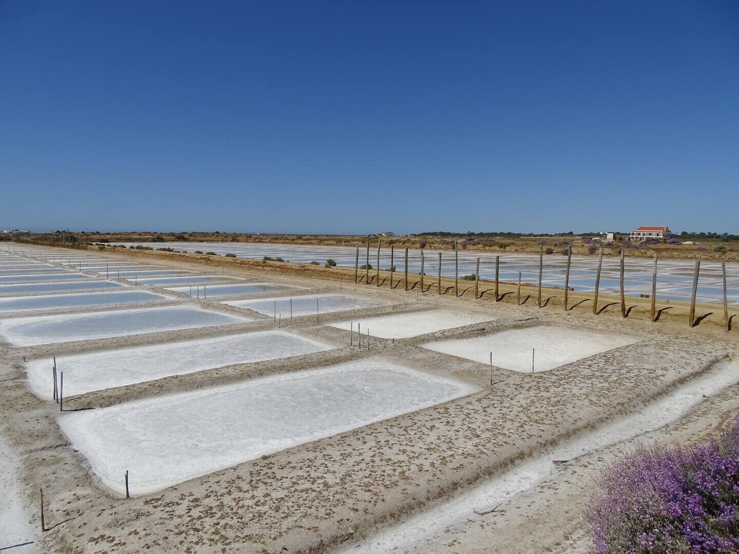 A salt flat with rectangular pools and a fenced area.