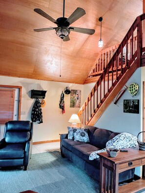 Smart TV, fireplace, books, computer monitors