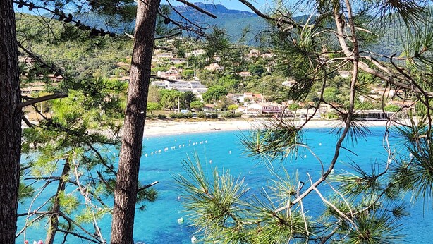 A coastal view with a beach, houses, and pine trees. - A 250 m de la Plage de Favone, Appartement vue mer Avec Terrasse de 30m2 (Conca)