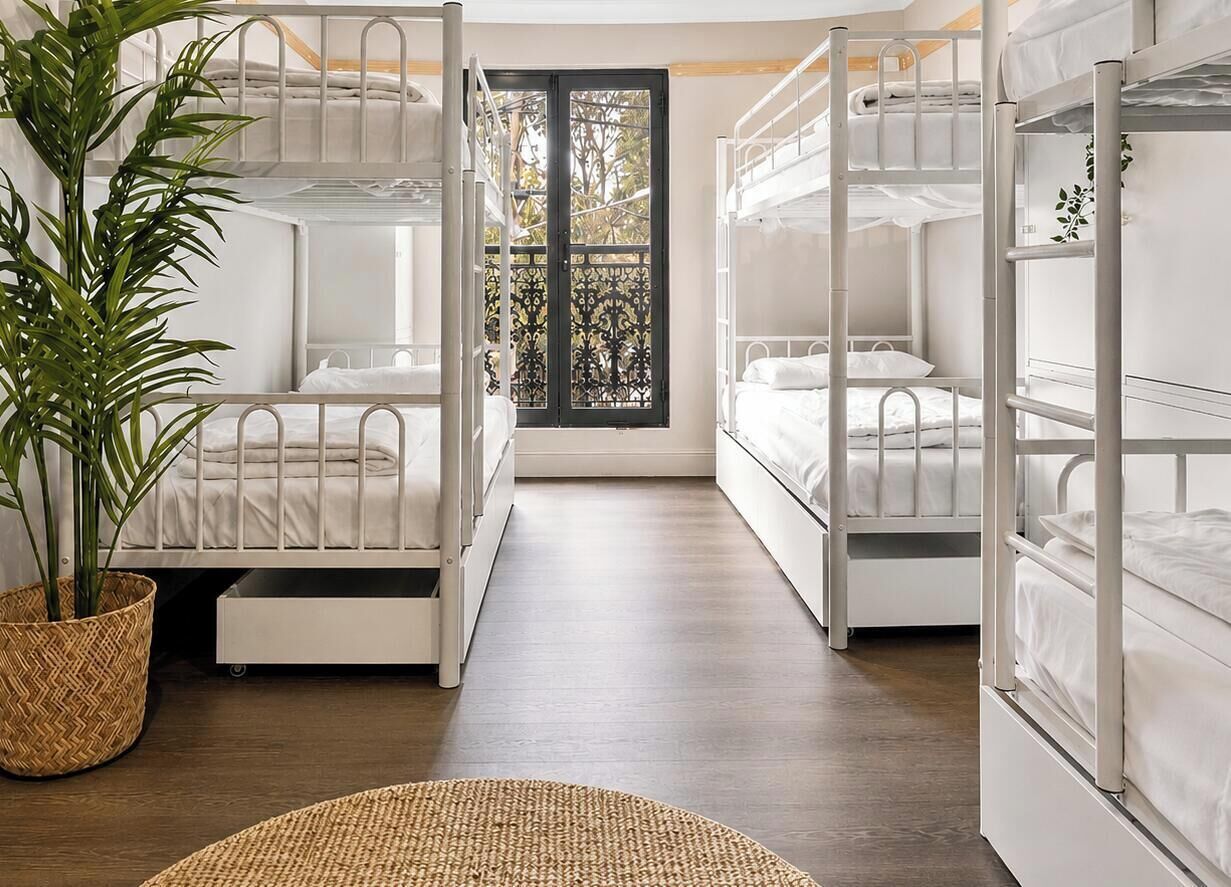A room with bunk beds, a potted plant, and a view through a window.