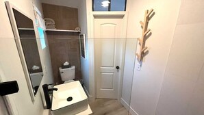 A narrow bathroom with a white sink, a toilet, and a mirror.
