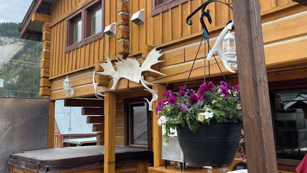 A wooden cabin with a wooden deck, a hot tub, and a large potted plant with purple flowers.