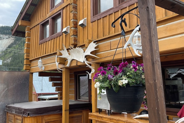 Área da propriedade