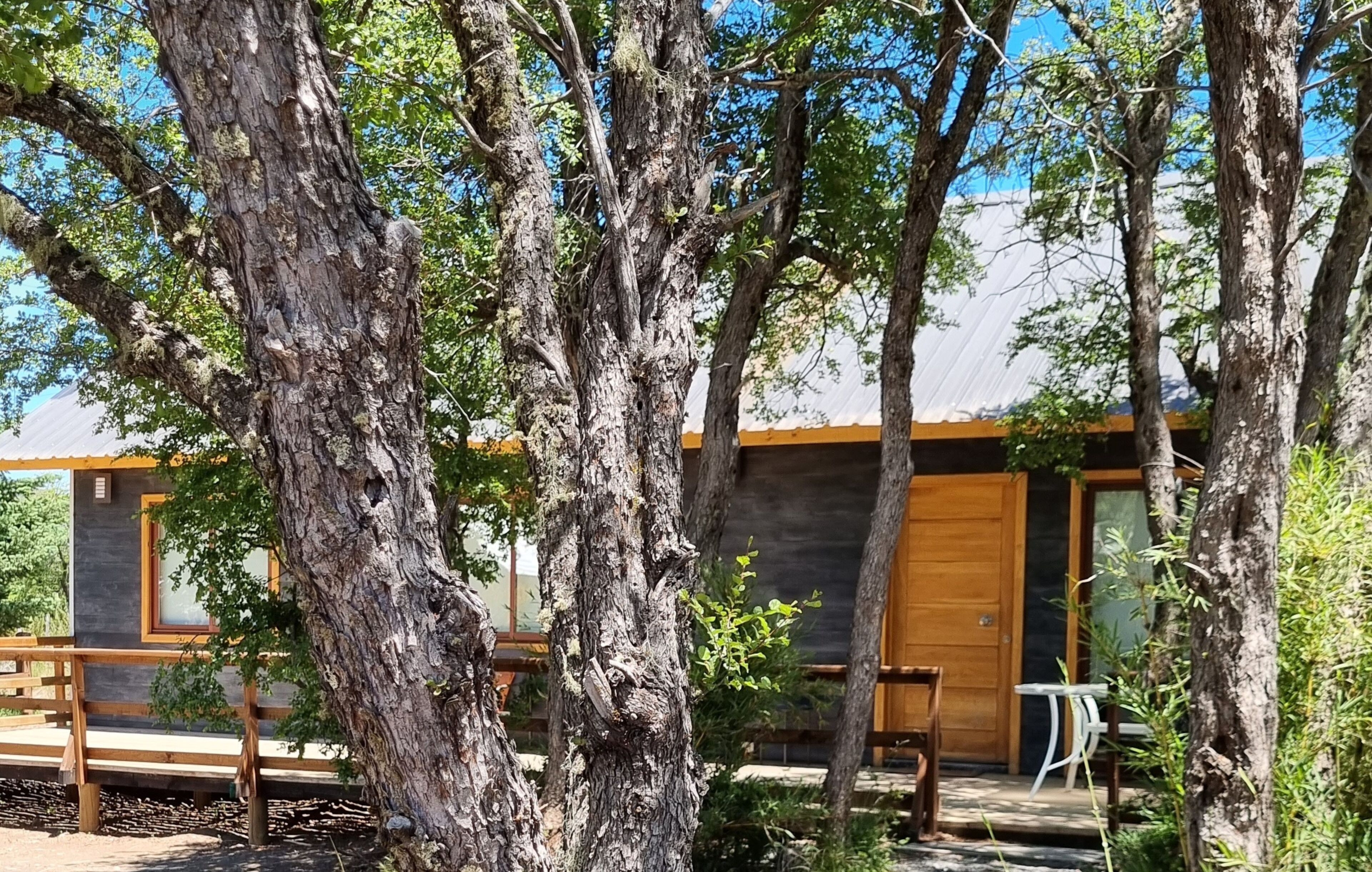A wooden cabin with a deck, surrounded by trees.