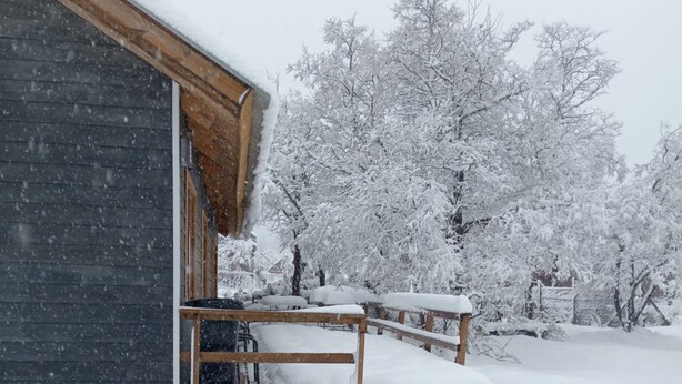 A wooden bench outside a building with snow-covered trees in the background. - Refugios de Montaña Reloncaví - RL1 (Pinto)