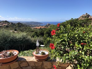 Terrain de l’hébergement 