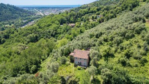 A house surrounded by dense greenery on a hillside with a view of a distant town.