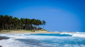 Beach - Mer, Surf et Soleil (Cabarete)