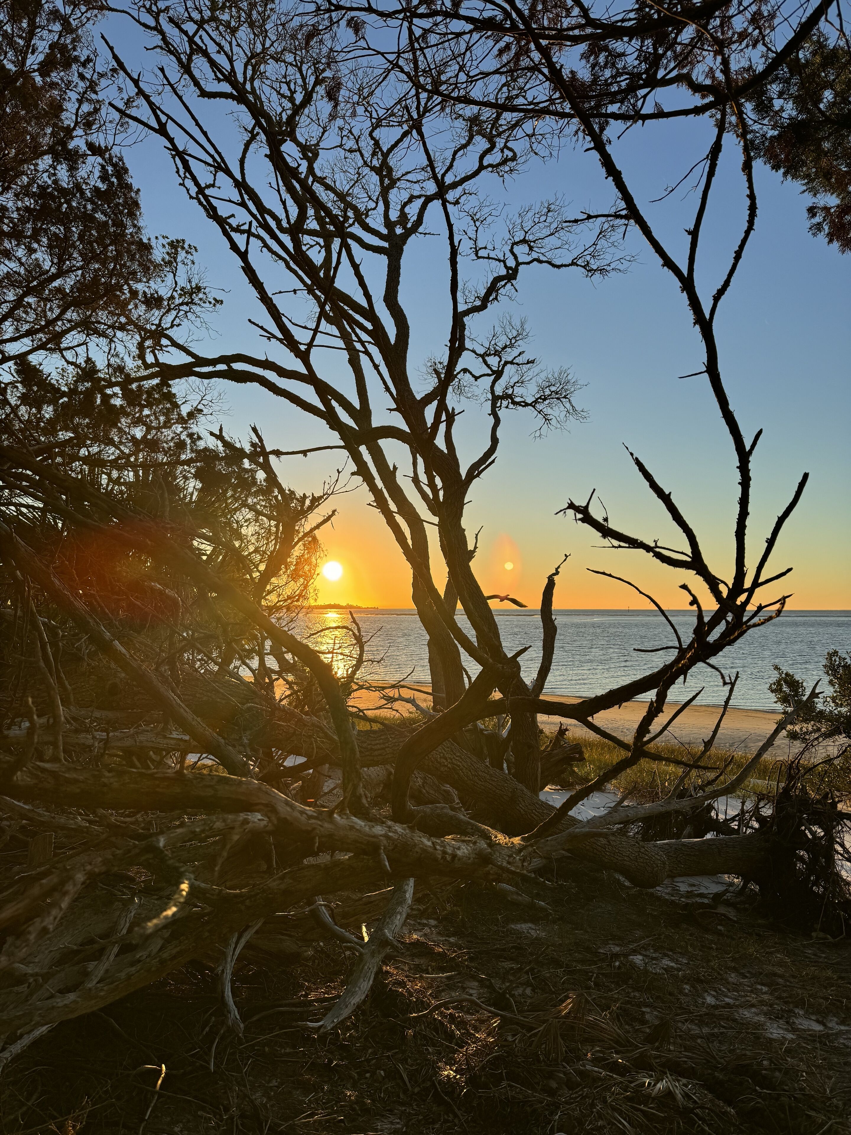 在海滩
