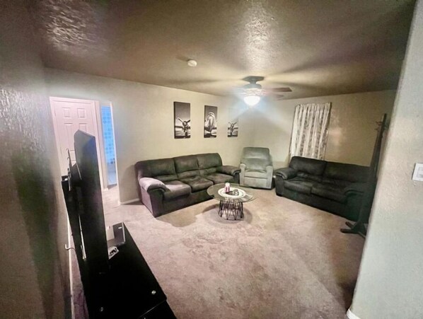 TV