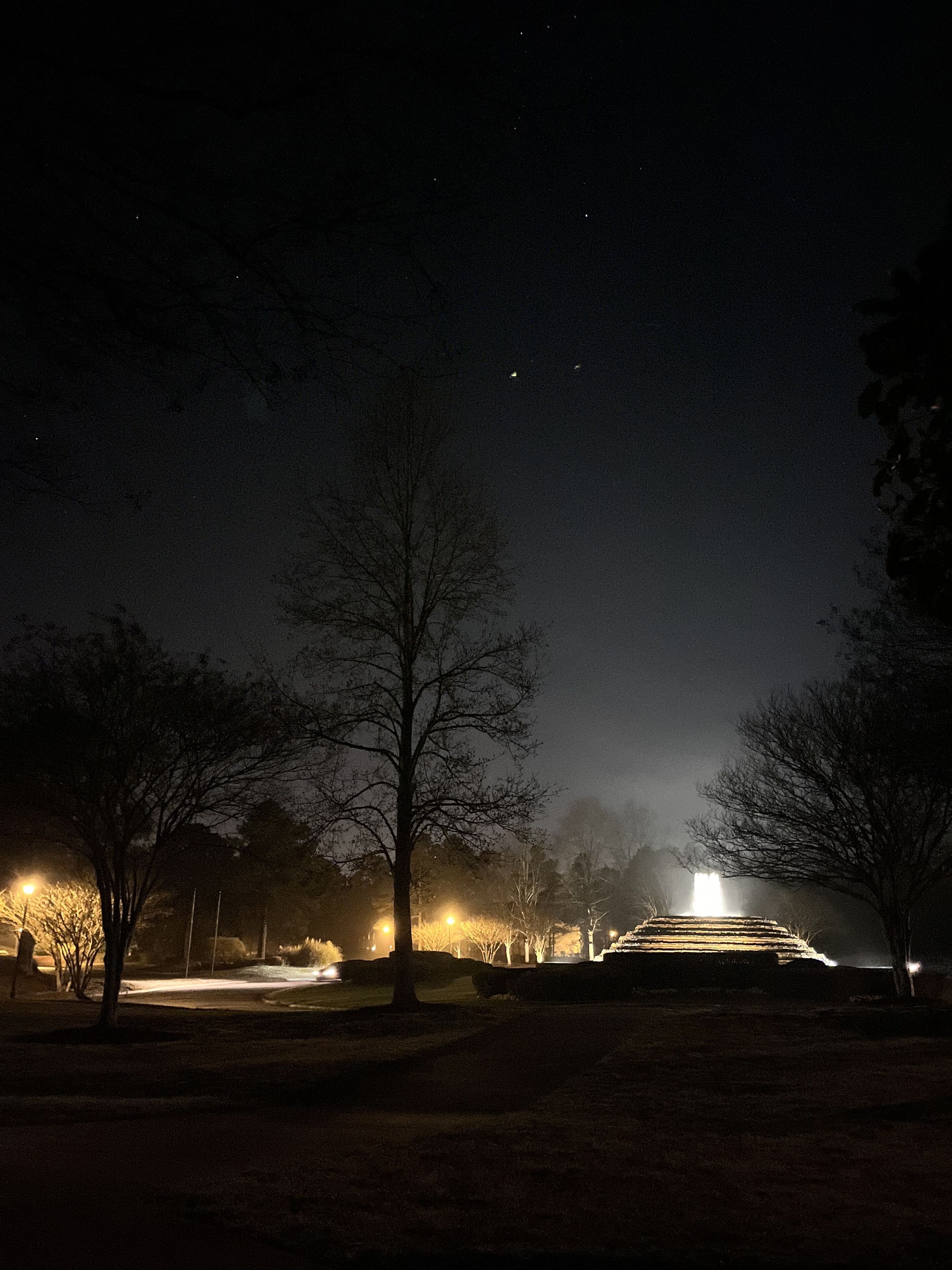 Une scène nocturne offrant une vue dégagée sur un parc, avec des arbres et une structure illuminée visible au loin.