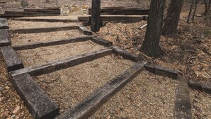 A wooden boardwalk in a forested area with gravel paths and trees. - Minimalist Style Home in Downtown JC - TF #12 (Johnson City)