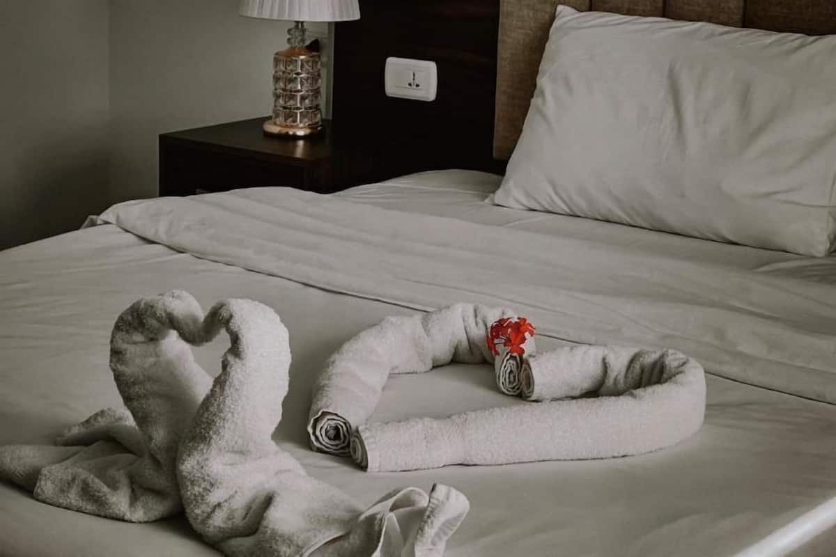 Deluxe Double Room, 1 King Bed, Non Smoking | Minibar, in-room safe, blackout drapes, WiFi (free)