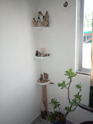 Interior - Divers Hostal Cozumel (Cozumel)