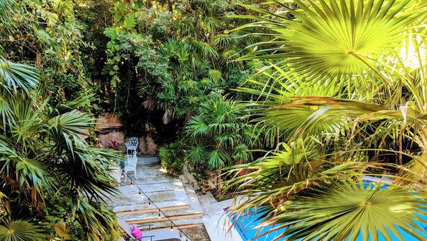A pool area with steps leading to a white chair, surrounded by lush greenery. - Steps to Ocean Playacar Villa Private Pool hosts 25+ guest (Playa del Carmen)