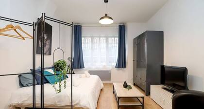 Parga 1 · Hypercentre Toulouse - Capitole à 500m