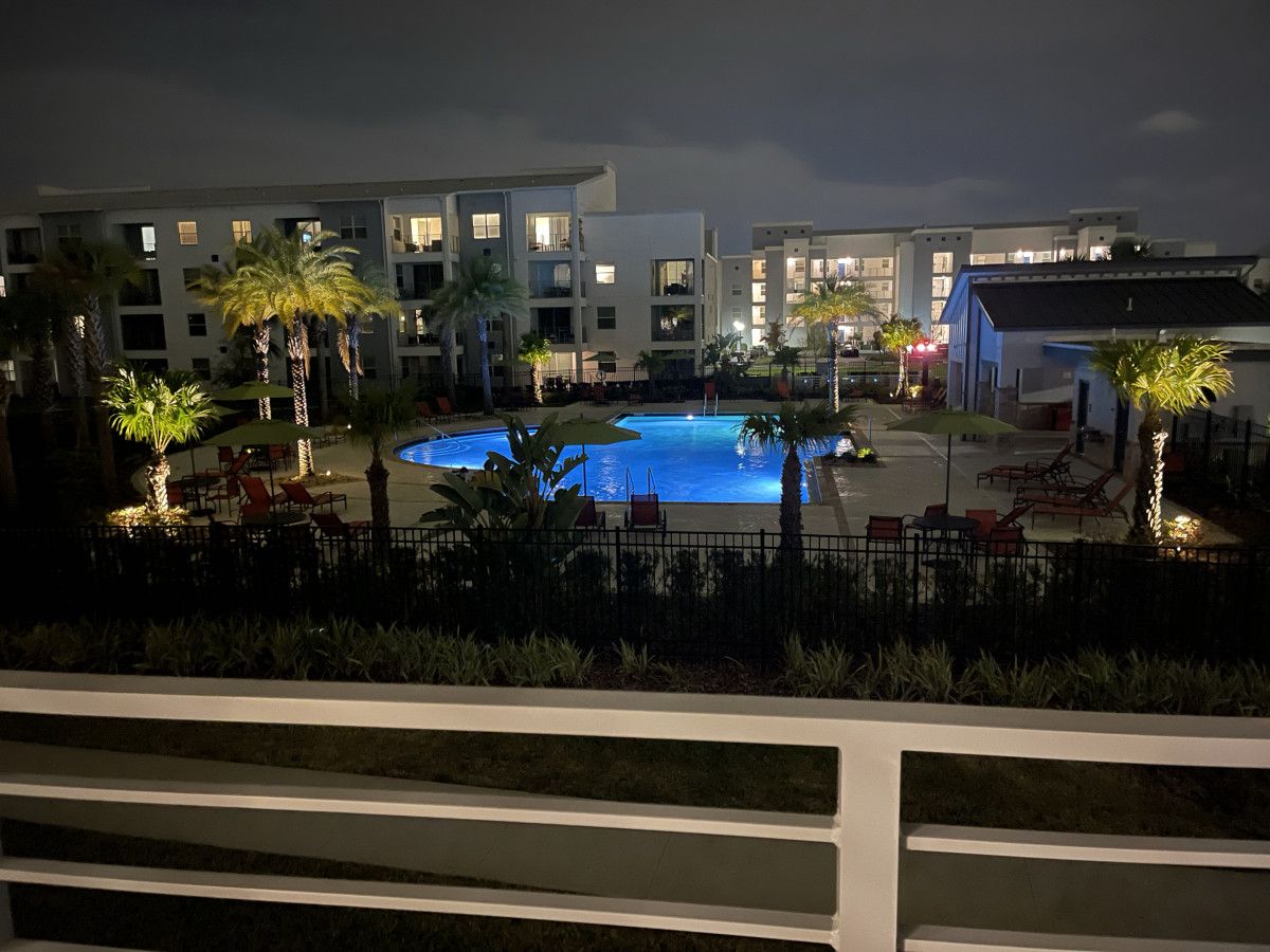 A swimming pool surrounded by palm trees and lounge chairs, with a modern building in the background.