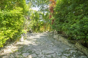 A stone pathway surrounded by lush greenery and stone walls. - Yayum Bacalar (Bacalar)