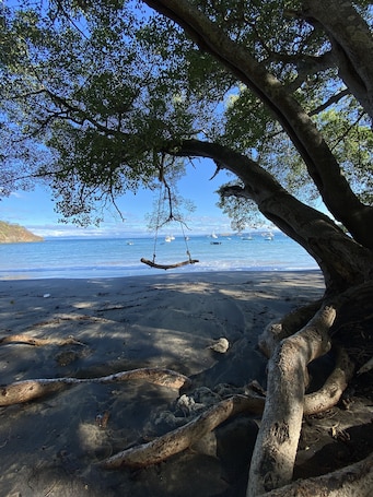 Beach. Guesthouse Casa Avi Fauna Master Room,5mn de la Belle Plage Ocotal