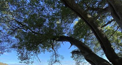 Guesthouse Casa Avi Fauna Master Room,5mn de la Belle Plage Ocotal