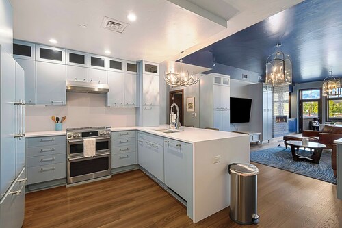 Downtown Penthouse